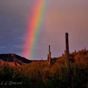 Meet your Posher, Posh